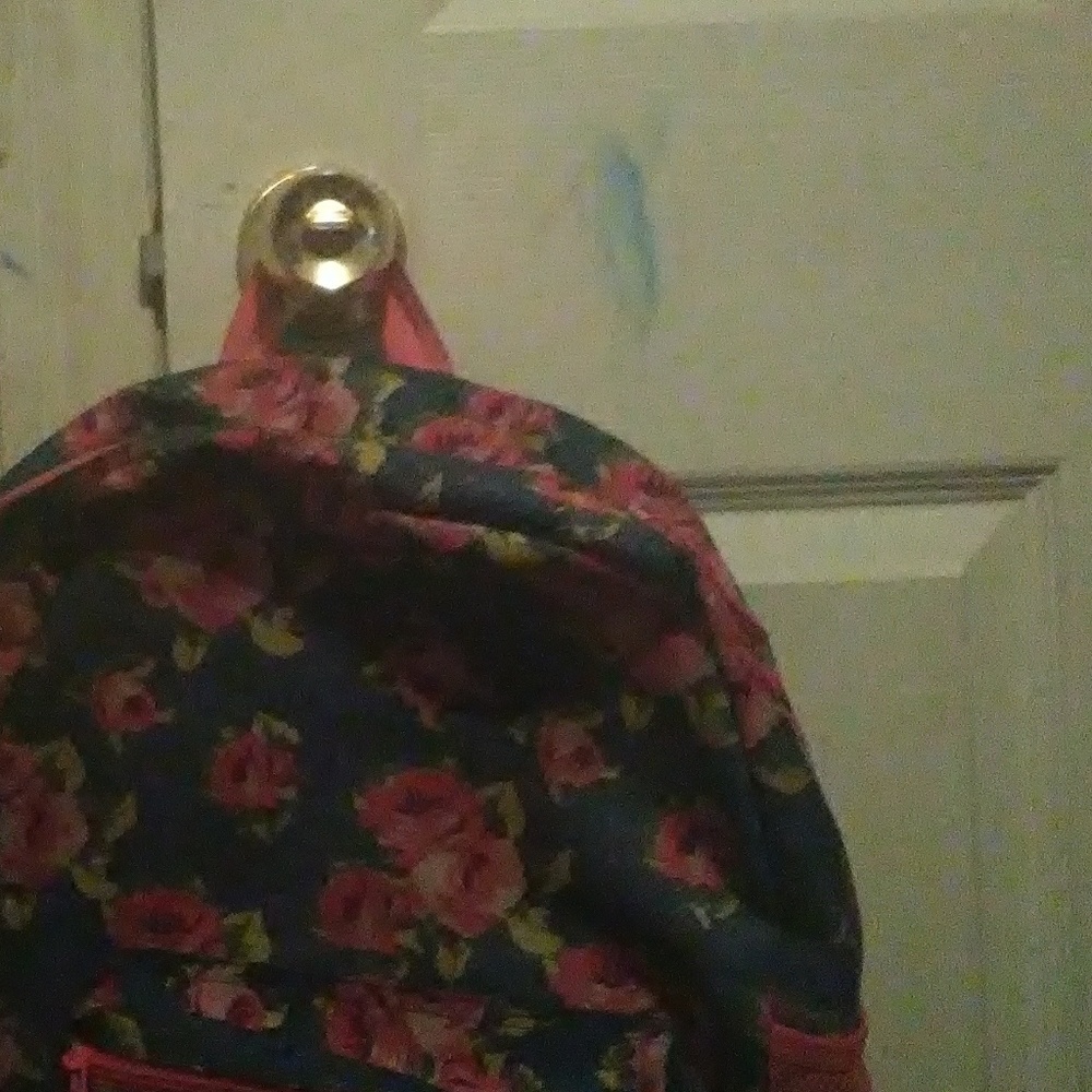 Backback - Picture 2 of 4